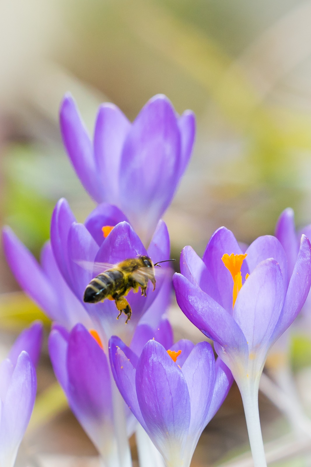7. Platz Harald Unglert